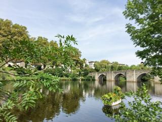 PHARMACIE 86 - MA862871