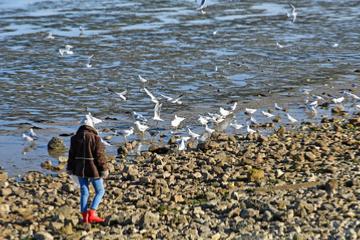 PHARMACIE 16 - MA162896