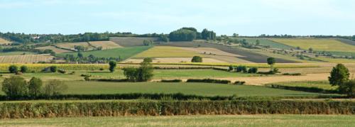 PHARMACIE 03 - MF032883