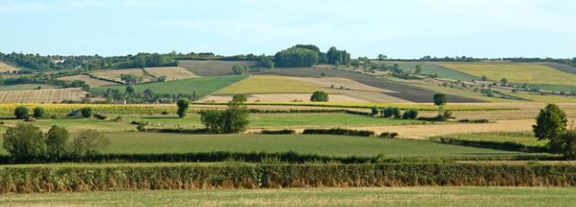 PHARMACIE 03 - MF032883